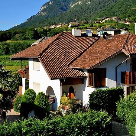 Urlaub Auf Dem Bauernhof Schmidhof - Grosse Terrasse, Pool Und Beste Lage Caldaro Eksteriør bilde