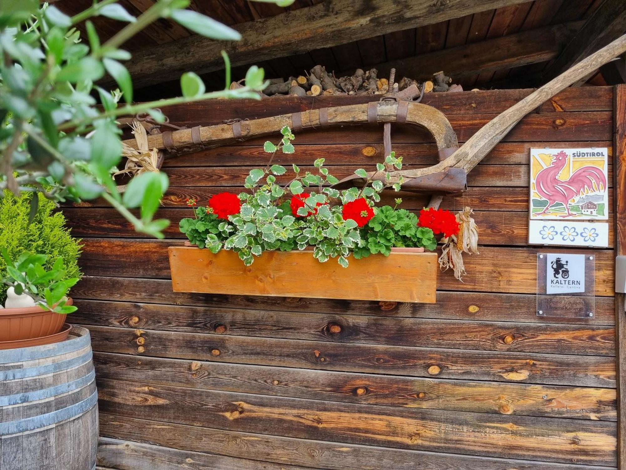 Urlaub Auf Dem Bauernhof Schmidhof - Grosse Terrasse, Pool Und Beste Lage Caldaro Eksteriør bilde